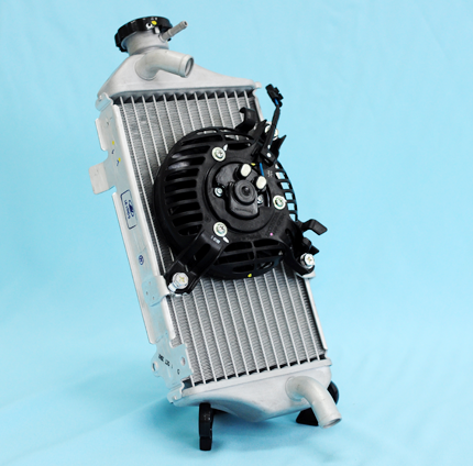 pic_2rad_02-430x424-2